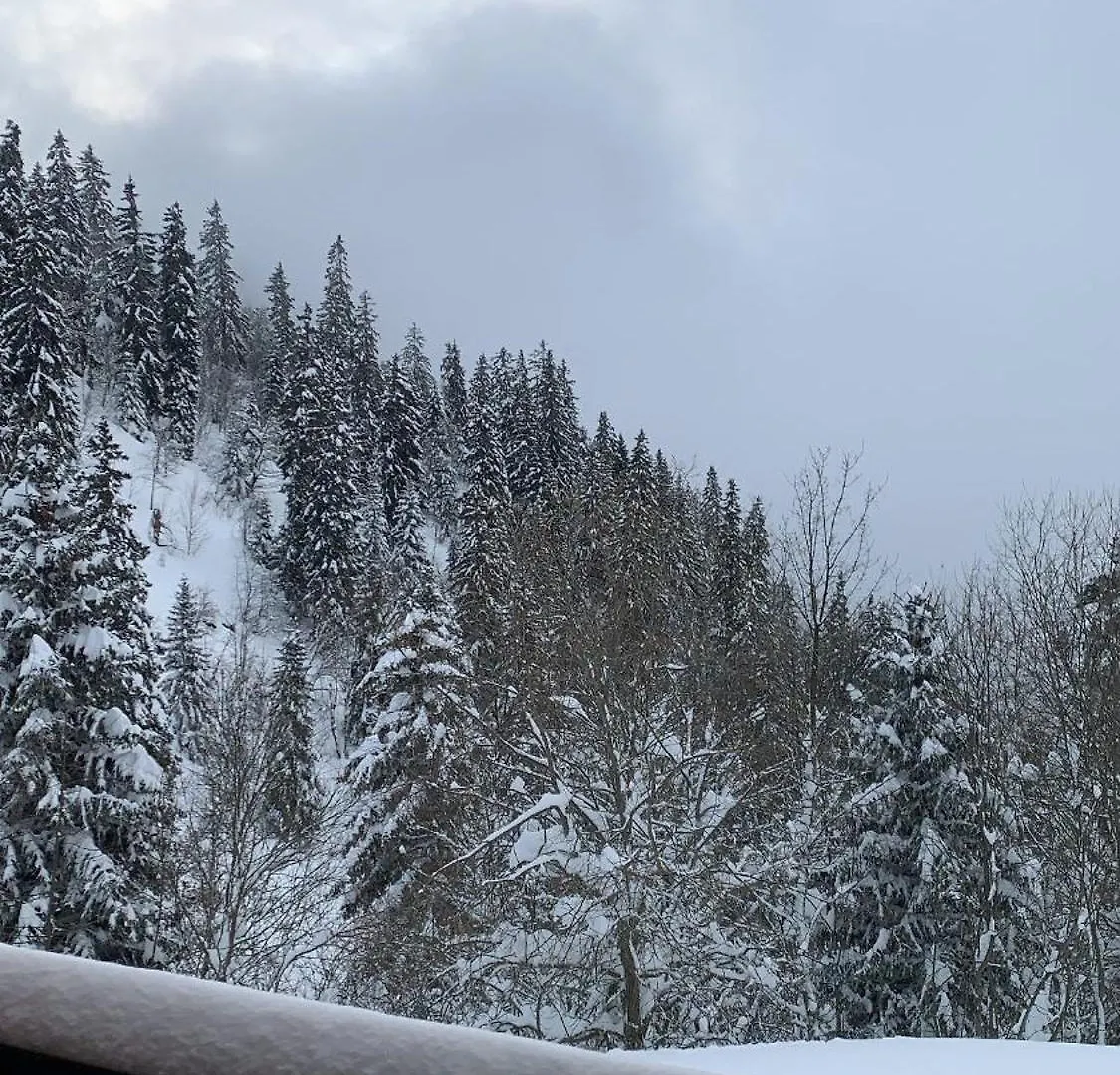 Location appartement Chamrousse 1650 - Superbe vue